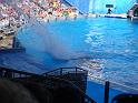 Sea World-116